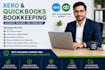 do xero and quickbooks bookkeeping, setup, and cleanup