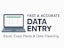 fast and accurate data entry work