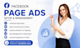 setup and manage facebook ads campaign and meta ads manager