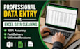 do accurate data entry and excel data cleaning