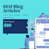write SEO blog articles and youtube scripts