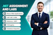do c sharp, dotnet, asp net core, maui, blazor , web assembly, desktop projects