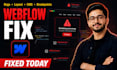 fix any webflow website issue, bug, layout, styling,  cms error and breakpoints