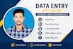 do  PDF to excel, excel data entry and copy paste