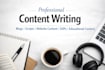 write SEO blogs articles and academic writing