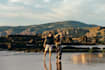 be your couples photographer in lisbon