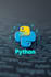 do python scripting, automation and bug fixing