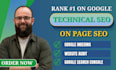do onpage SEO, technical optimization and google indexing fix