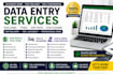 do data entry, typing and excel work