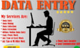 handle data entry, cleaning, and typing professionally