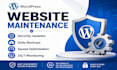 provide professional website maintenance and management services