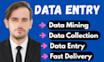do data mining, data collection, and data entry for you
