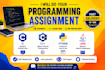 do programming assignments, coding tasks, and projects in c, cpp, java, python