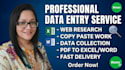 professional data entry, copy paste, and web research