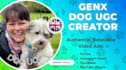 create dog ugc videos for your dog products or services