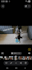 create pet ugc ads for your product or service