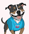 create custom digital art or character illustrations