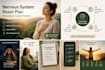 help you recover from chronic stress and burnout holistically