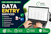 do accurate data entry,copy paste, excel,web research