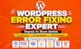 fix wordpress errors, woocommerce bugs, broken website in 30 minutes