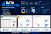 professional data analysis and deliver clear and actionable