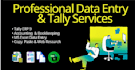 do professional data entry and web research for you