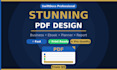 design a professional PDF document in canva
