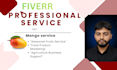 create a mango video and photo