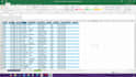 do excel data entry and data organized