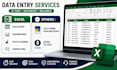 do excel data entry, professional excel dashboard, sorting and formatting