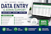 do data entry and typing
