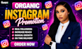 professionally grow your account followers