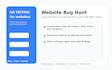 test your website and find bugs