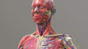 do 3d medical device animation 3d medical explainer 3d surgical device animation