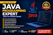 be your java programming expert, fix bugs, build projects