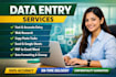 do professional data entry services with accuracy