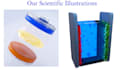 create a graphical abstract, toc and scientific figure for journal publication