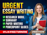 do essay writing as an essay writer expert