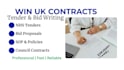 write winning UK tender, bid proposal, nhs and council contract