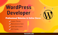 design a modern wordpress website for your needs