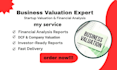 do business valuation, startup valuation and financial analysis