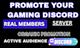 do discord server promotion, discord, minecraft, fivem promotion, server growth