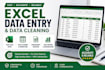 do excel data entry and data cleaning