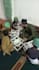 teach quran with tajweed and basic islamic rules
