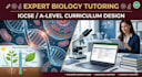 design a custom professional curriculum