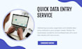 do data entry microsoft excel