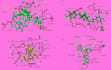 perform professional molecular docking and cadd studies