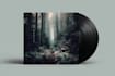 design album cover, cd label, cd cover  hours
