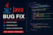 fix bugs in your java code