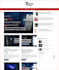 build or fix your wordpress website professionally